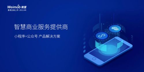 電商saas不好做,有贊還能領跑幾年